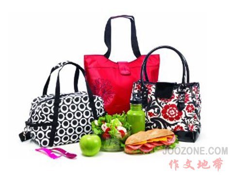 Koko Kate Nylon Lunch Bag